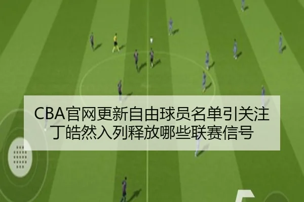 CBA官网更新自由球员名单引关注 丁皓然入列释放哪些联赛信号